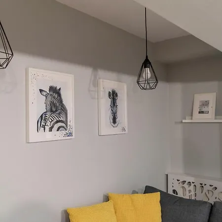 Zebra's House Apartment
