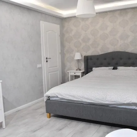 Zebra's House Bucharest