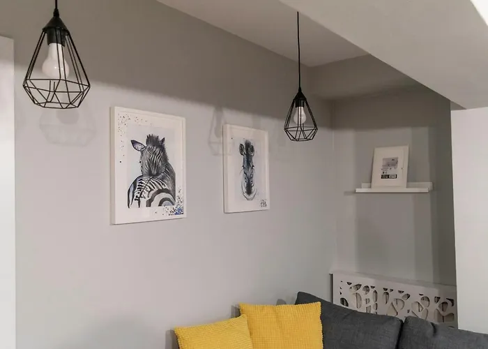 Zebra's House Апартаменти