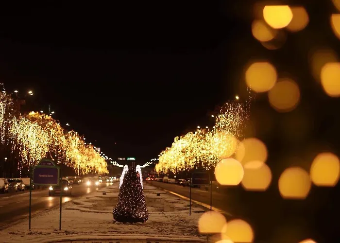 公寓 Zebra's House