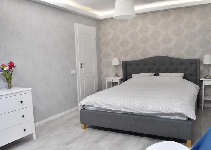 Zebra's House Bucarest