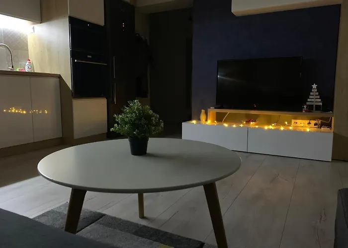 Zebra's House * Бухарест