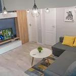 Zebra's House