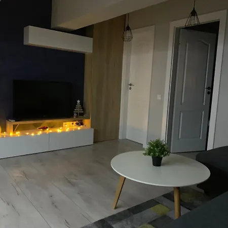 Zebra's House Bucharest